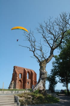 Tree, church ruins and paraglider in Trzesacz in Poland