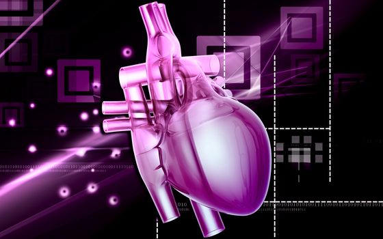 Digital illustration of human heart in colour background