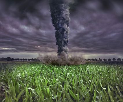 large tornado over the meadow (photo and 3D elements compilation) 