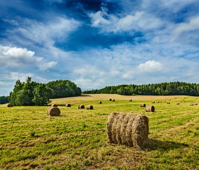 Agriculture background - Hay bales on field in summer