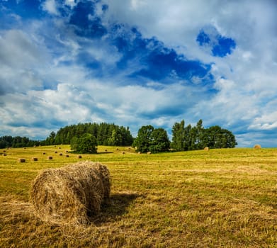 Agriculture background - Hay bales on field in summer