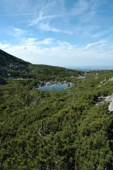 Ponds and bushes in Sniezne Kotly in Karkonosze mountains in Poland / Czech republic