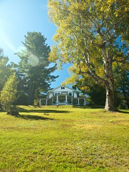 pretty house on a hill with birch tree