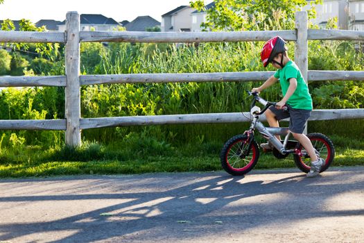 Child bicycling on the bike path in the park