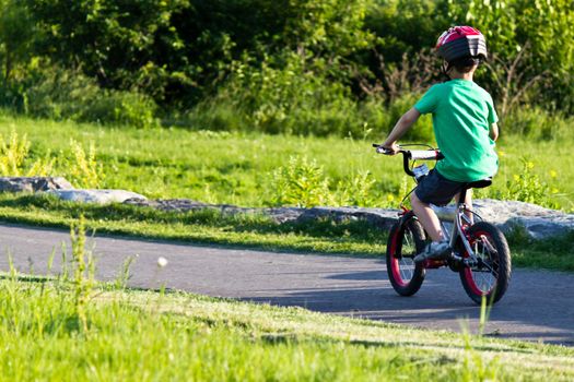 Child bicycling on the bike path in the park