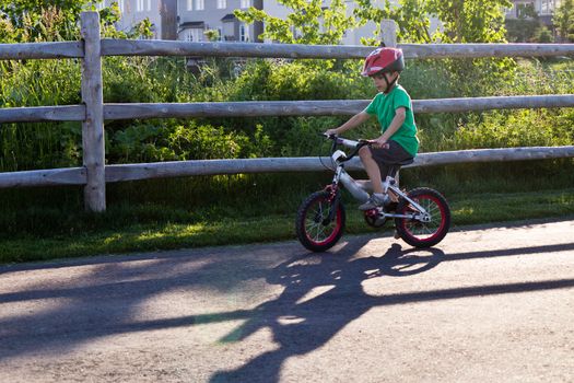 Child bicycling on the bike path in the park