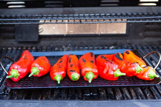 Roasting the chillies on the grill