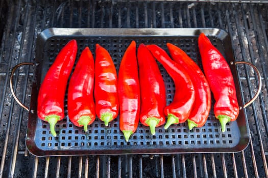 Chillies getting ready to be grilled on the grill