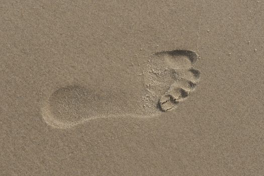 Footprint on a sandy beach in north Denmark