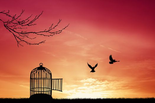 Bird cage silhouette