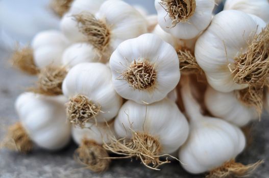 Garlic bulbs braid on a gray raw stone table