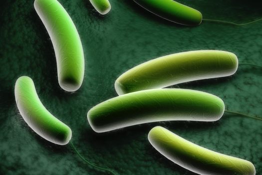 Digital illustration of Coli bacteria in colour background