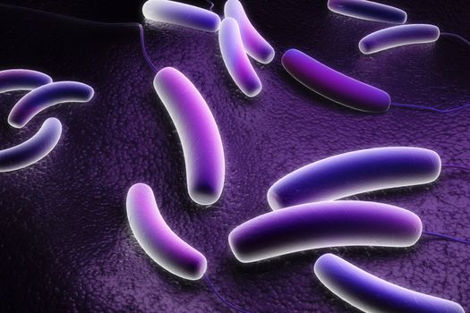 Digital illustration of Coli bacteria in colour background