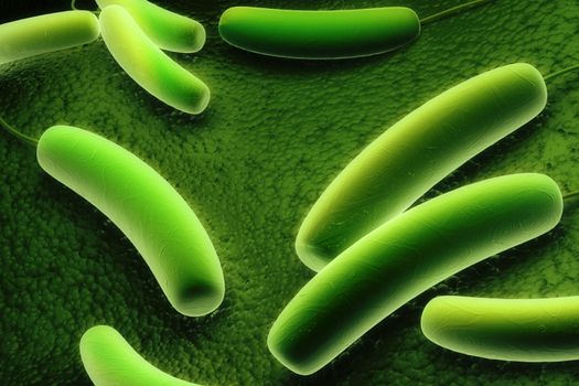 Digital illustration of Coli bacteria in colour background