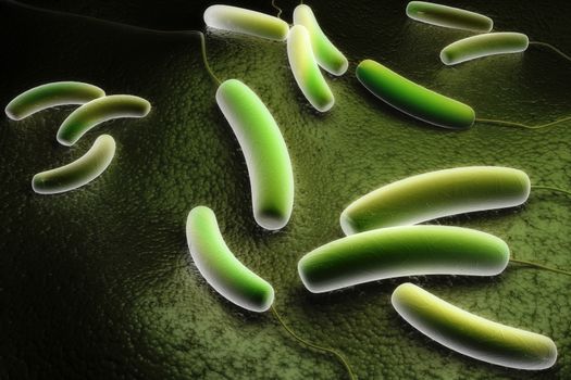 Digital illustration of Coli bacteria in colour background