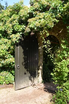 Open wood door in a arched surround set in a formal English garden.