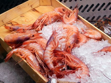 A beautiful display of red prawns at restaurant.
