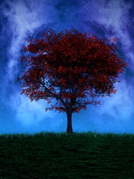 This image shows a red maple tree by night