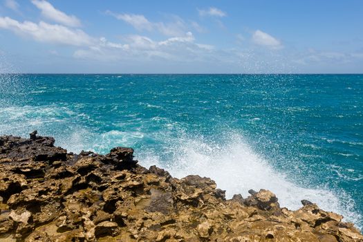 Limestone Coastline and Ocean Horizon Background Antigua