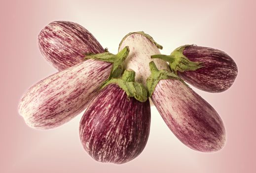 Six fresh organic eggplants purple and white