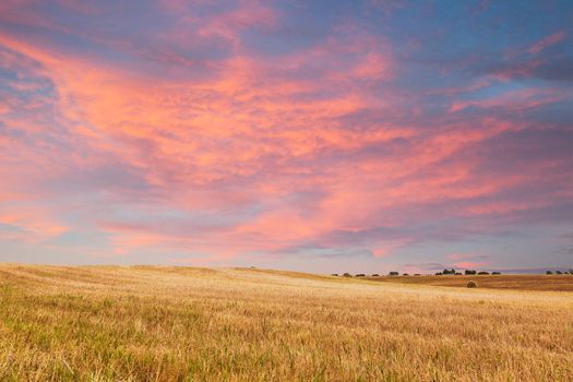 Beautiful sunset over field. Alentejo, Portugal