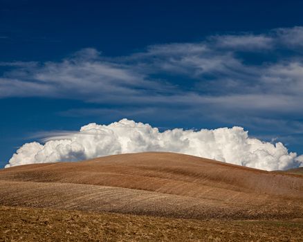 Cultivated fields with big fluffy white cloud in Alentejo, in the south of Portugal.