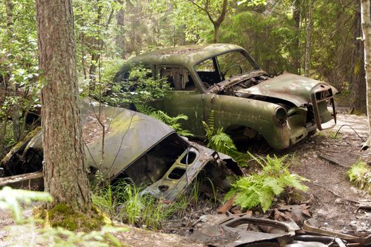 Car Dump in Kirkoe Mosse, Sweden