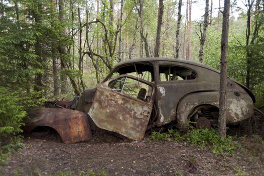 Car Dump in Kirkoe Mosse, Sweden