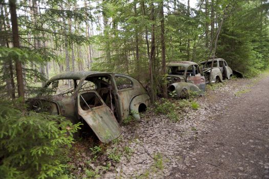 Car Dump in Kirkoe Mosse, Sweden