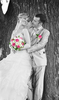 wedding couple on the background of a tree trunk