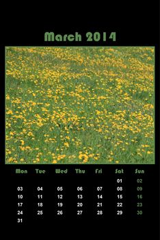 Colorful english calendar for march 2014 in black background, dandelions and green grass