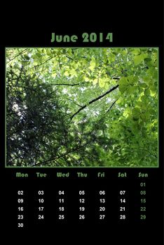 Colorful english calendar for june 2014 in black background, green leaves and branch
