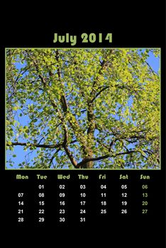 Colorful english calendar for july 2014 in black background, tree and green leaves