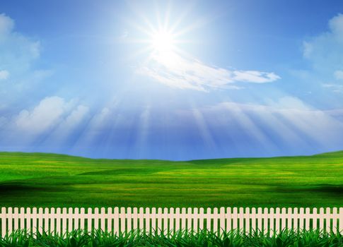 beautiful grass field and wood fence use for natural background