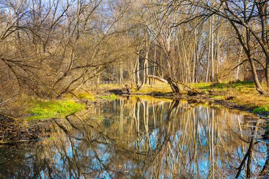 river in autumn forest