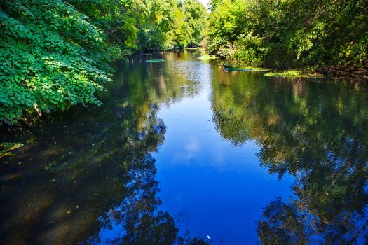 river in forest