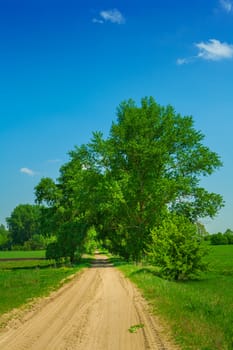 road on field