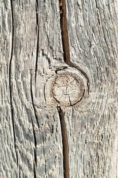 twig on textured surface of board