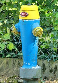 Yellow Fire hydrant