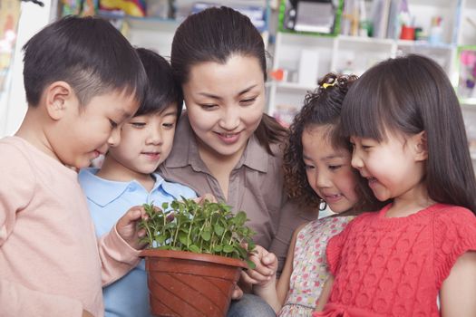 Teacher Showing a Plant to a Group of Students