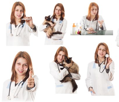 Veterinary doctor in veterinary subjects