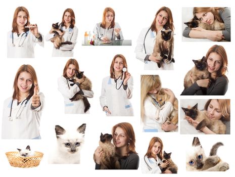 Veterinary doctor in veterinary subjects