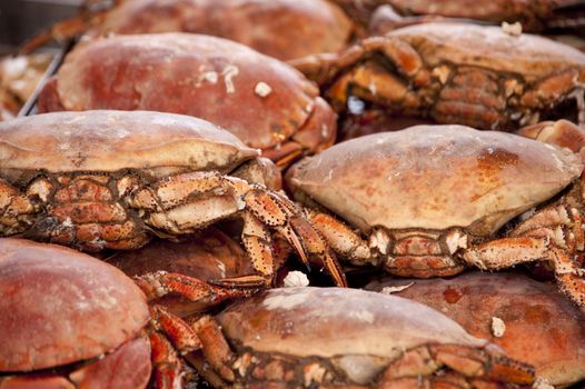 crabs on a fish market