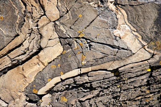 Skerry Rocks in southern Sweden