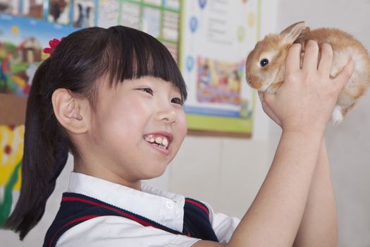 Schoolgirl holding pet rabbit in classroom