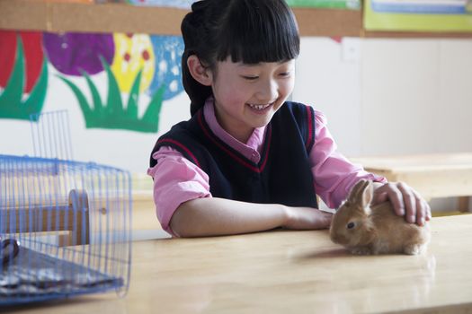 Schoolgirl petting pet rabbit in classroom