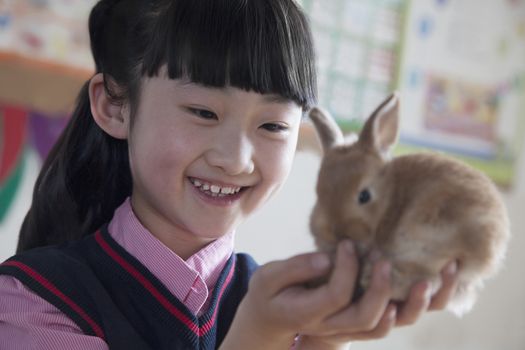 Schoolgirl holding pet rabbit in classroom