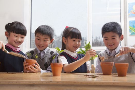 Schoolchildren planting plants into flowerpots in the classroom