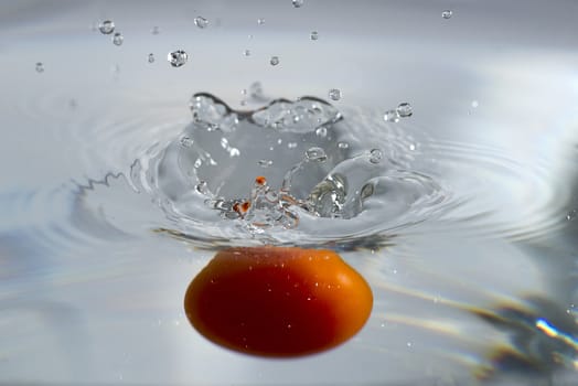 movement of a falling water tomato in water