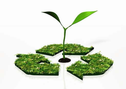 a view of a small plant with two leaves grows in the center of a recycling symbol covered by grass and flowers, on a white background